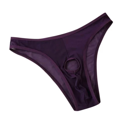 Open Front Mesh Panties - Image 8