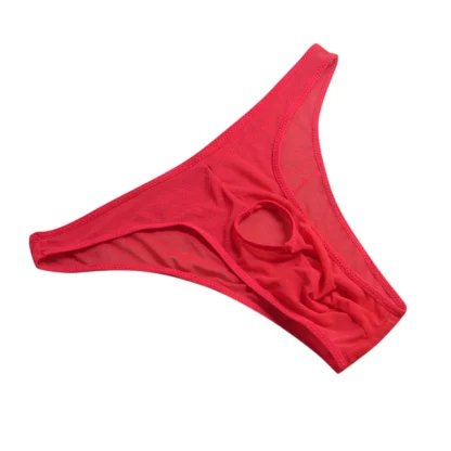 Open Front Mesh Panties - Image 7