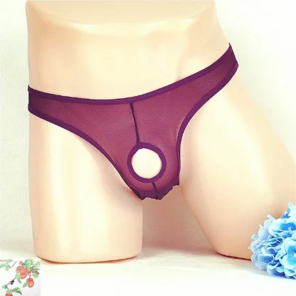 Open Front Mesh Panties - Image 9